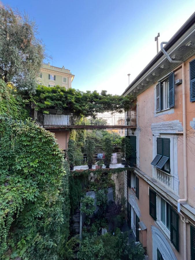 Appartement L'ulivo E Il Colibri *
