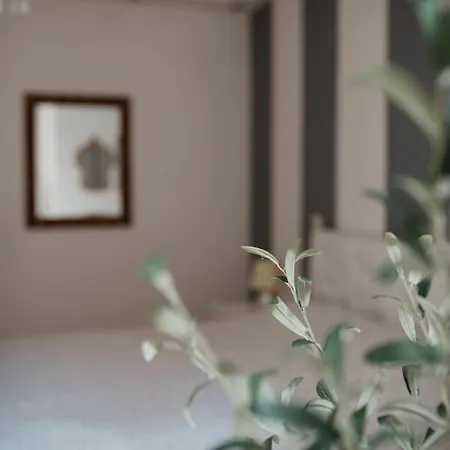 Appartement L'Ulivo E Il Colibri à Gênes Extérieur photo