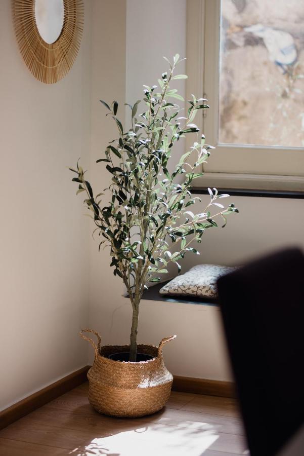 L'ulivo E Il Colibri Appartement *