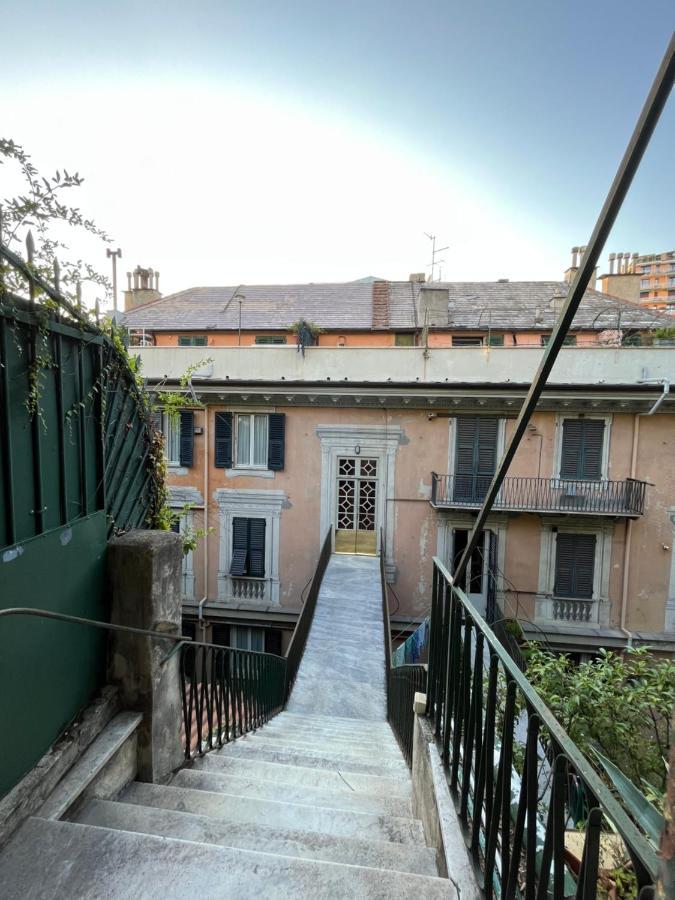 L'ulivo E Il Colibri * Gênes