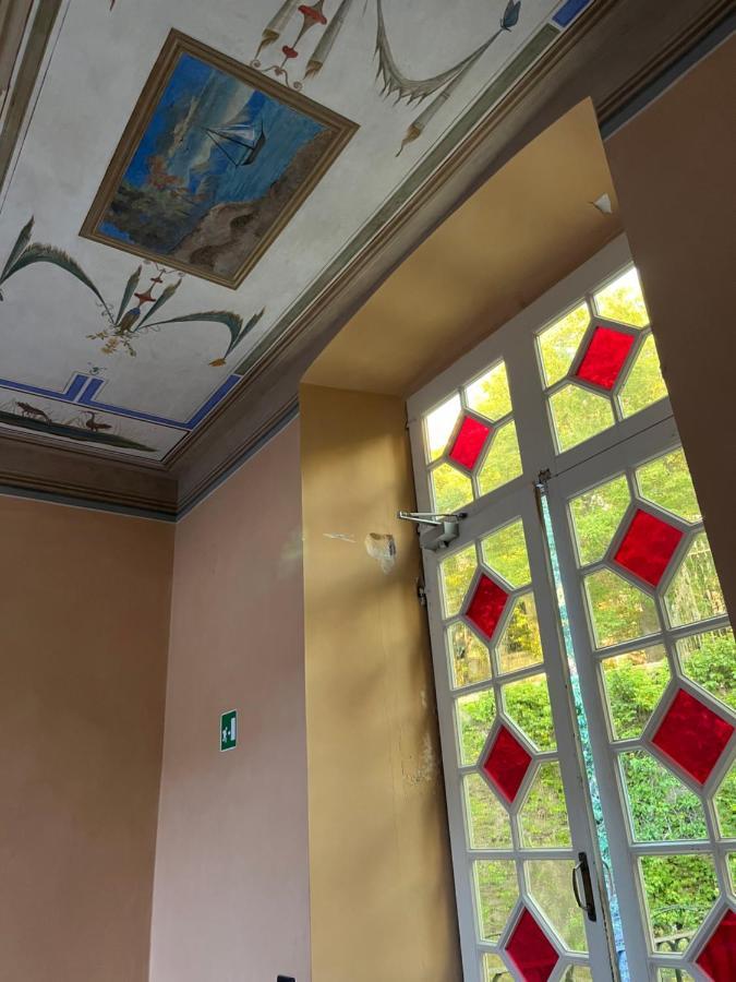 L'ulivo E Il Colibri *